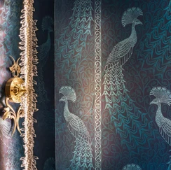 Jewel Box Style Guest Bathroom