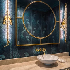 Jewel Box Style Guest Bathroom