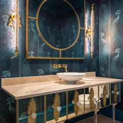 Jewel Box Style Guest Bathroom